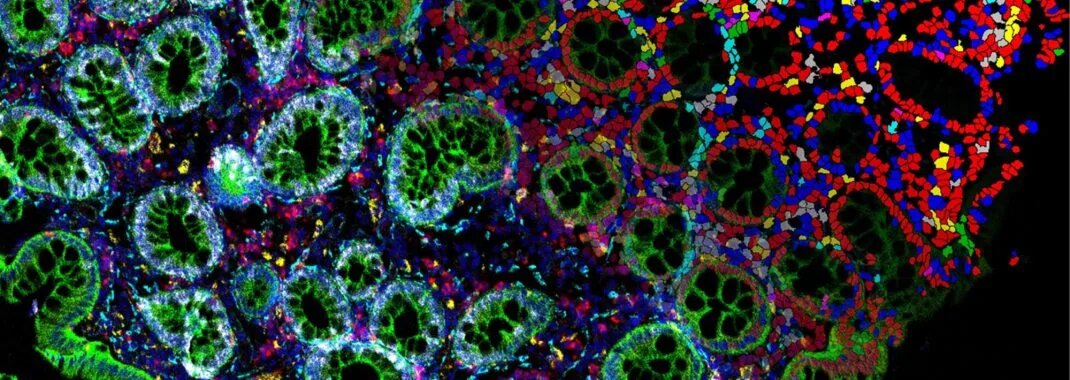 Utrecht Life Sciences Early Career Researcher Technology Voucher Programme